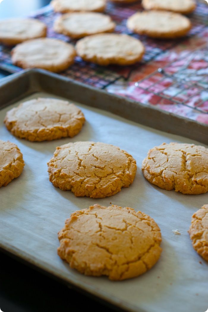 Peanut Butter Cup Turkey Cookies