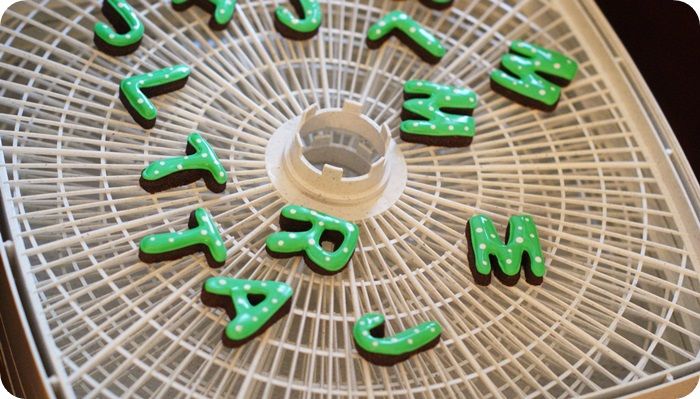 monogram pumpkin dehydrator photo monogrampumpkindehydrator.jpg