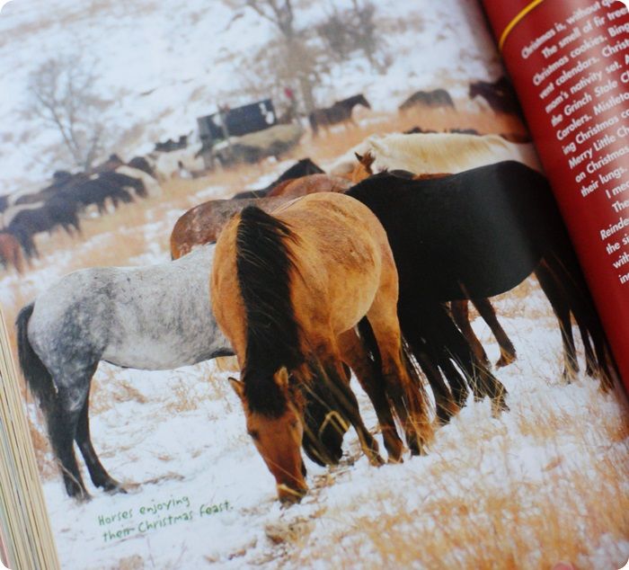 pioneer woman holidays horsies photo pioneerwomanholidaysbook6of8.jpg