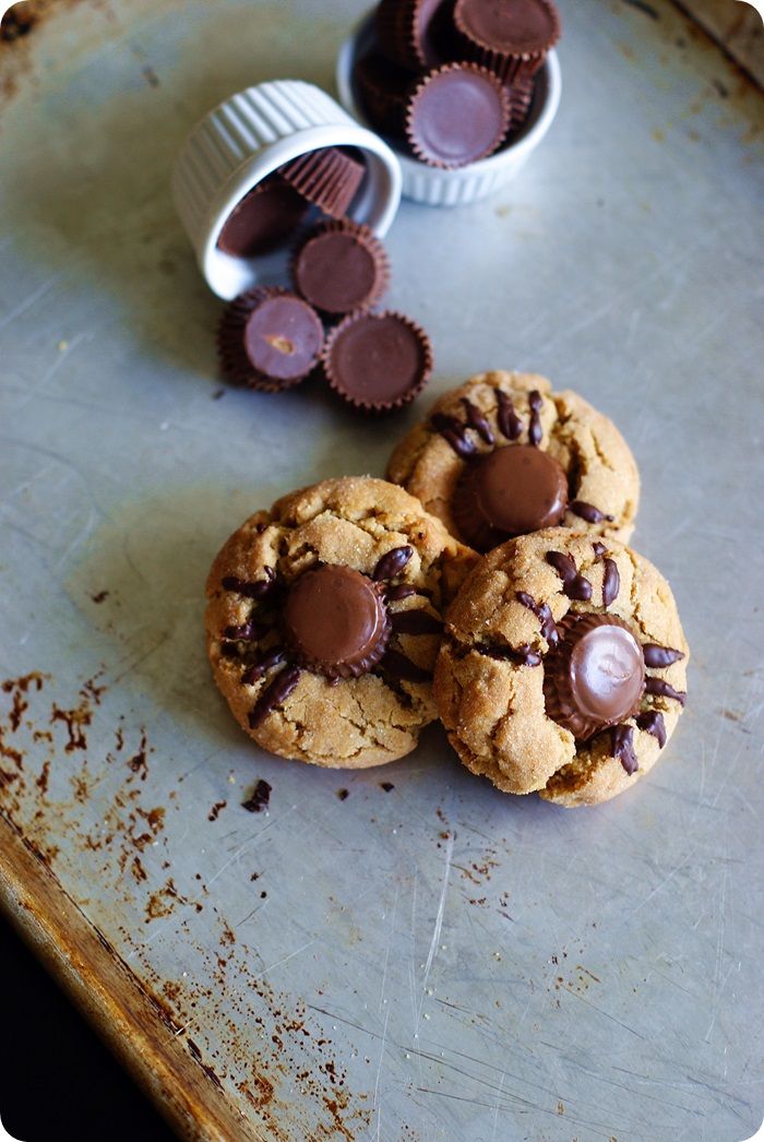 spider peanut butter blossoms ::: deliciously spooky cookies for Halloween