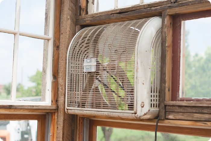 upcycled greenhouse made from reclaimed wood, vintage windows and doors