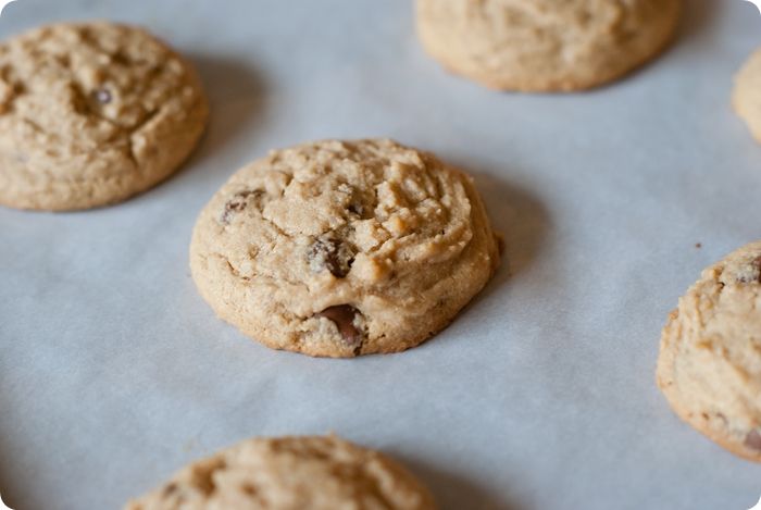 soft peanut butter cookies with PEANUT BUTTER-FILLED chocolate chips!!!