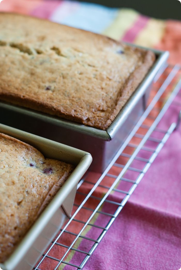 Raspberry Poppy Seed Bread