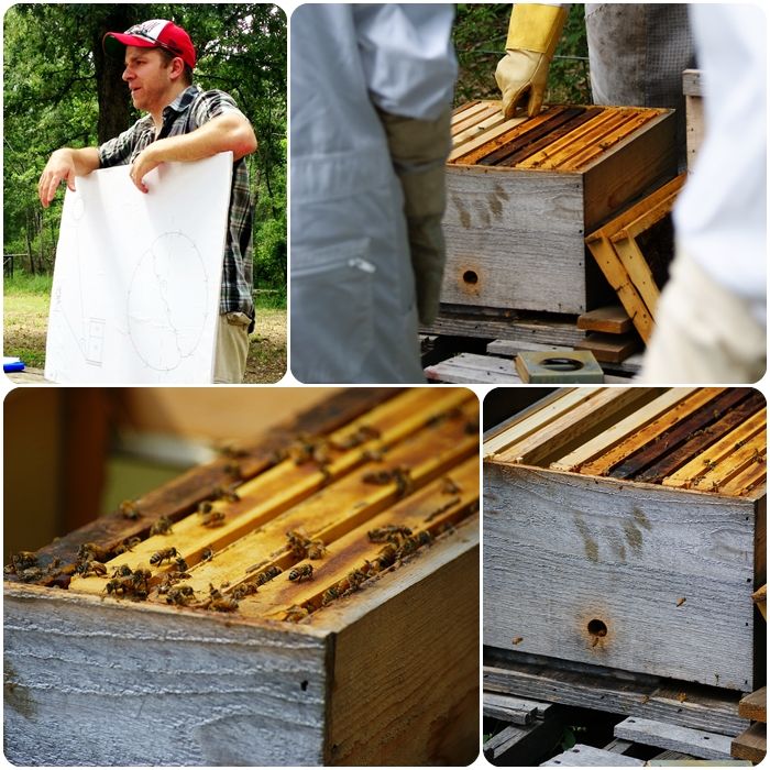 beekeeping classes ::: bake at 350 blog