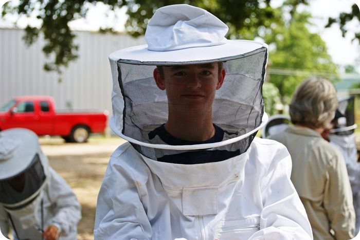 beekeeping classes ::: bake at 350 blog