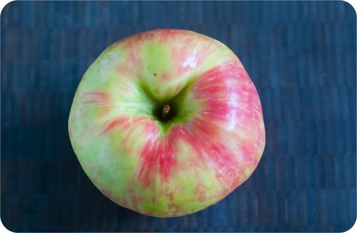 caramel honeycrisp apple bars