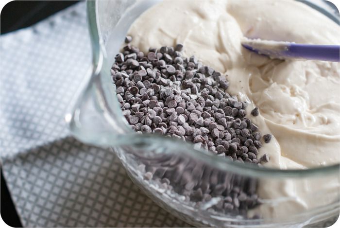 chocolate chip coconut cake