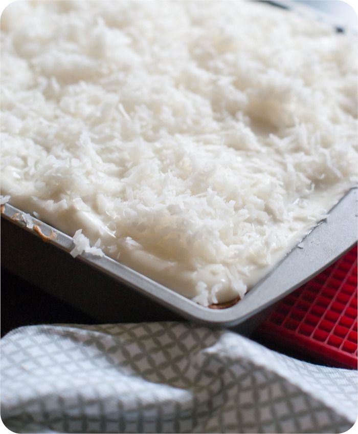 chocolate chip coconut cake
