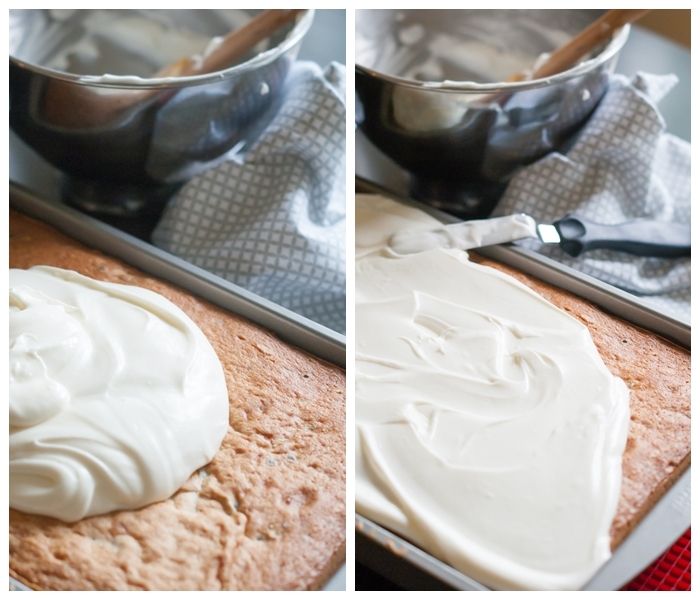 chocolate chip coconut cake