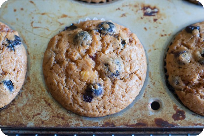 peachy blueberry muffins made with coconut sugar!!!