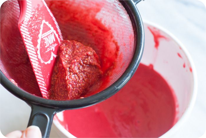 raspberry champagne sorbet sieve photo raspberry champagne sorbet 5 of 9.jpg