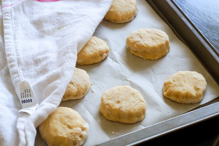 how to make Pumpkin Beer (!) Giant Donut Holes