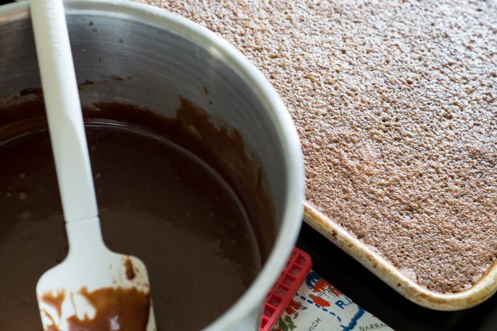 Chocolate Malt Texas Sheet Cake
