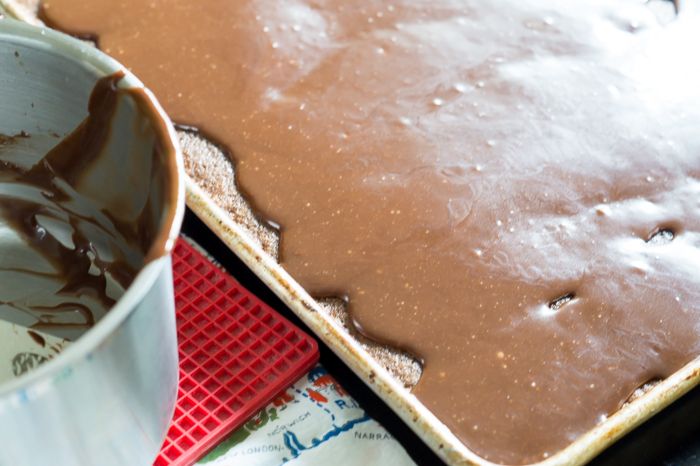 Chocolate Malt Texas Sheet Cake