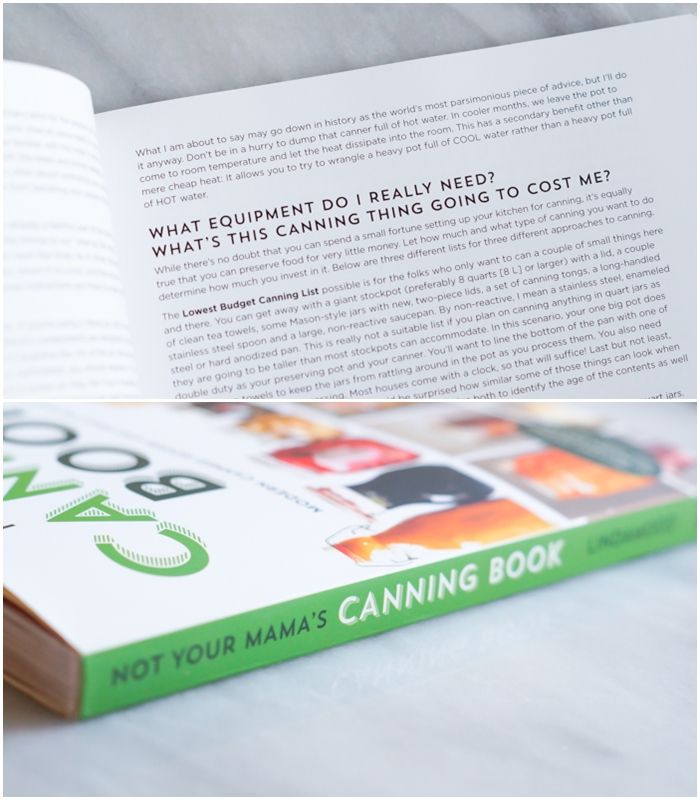 book review: Not Your Mama's Canning Book by Rebecca Lindamood