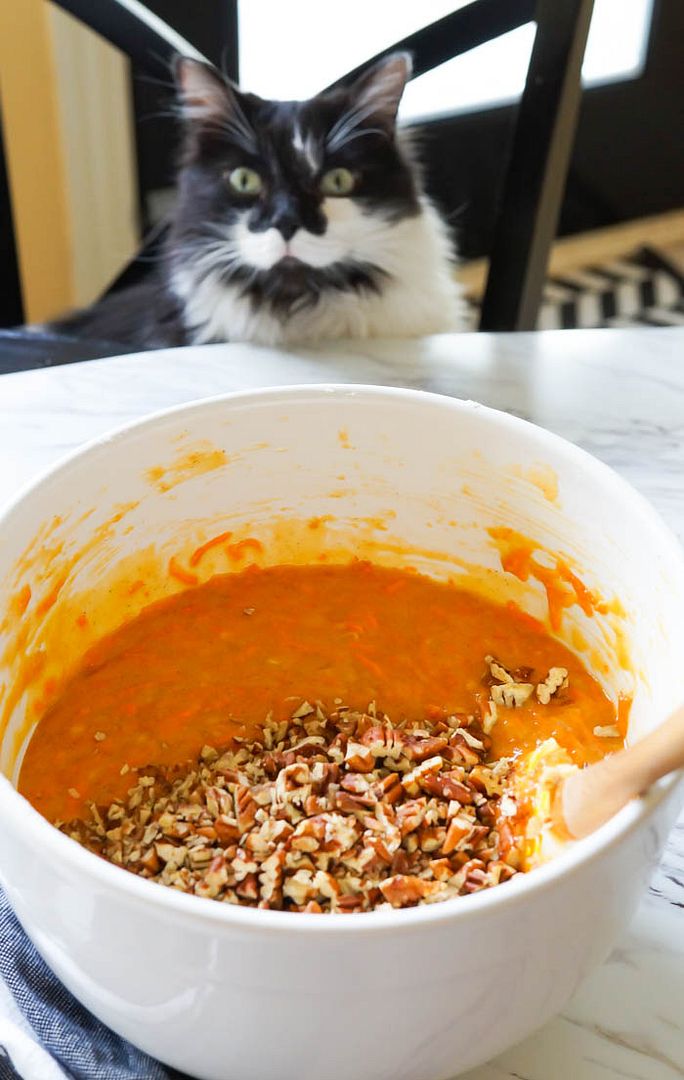 favorite carrot cake with cream cheese frosting + kitty supervisor