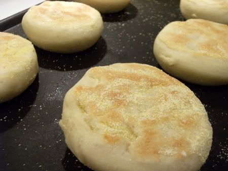 english muffin griddle