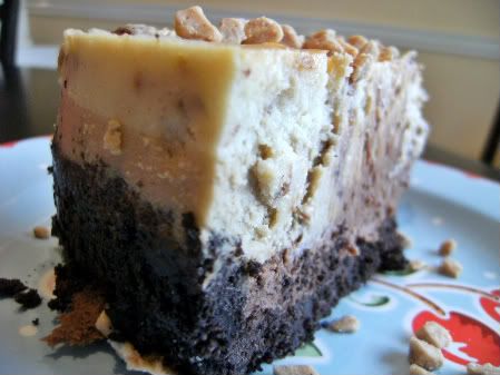 Julia's cheesecake slice