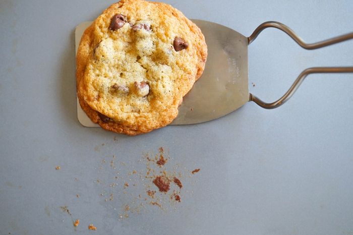 troubleshooting cookies | bakeat350.net for The Pioneer Woman Food & Friends