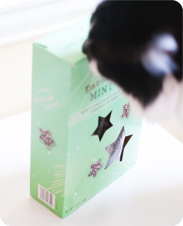 Trader Joe's Mini Dark Chocolate Mint Stars review ... a holiday item from TJ's