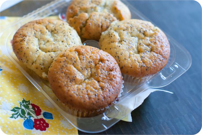 trader joe's greek yogurt lemon poppy seed muffins review