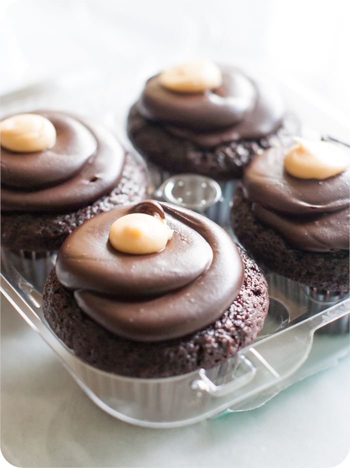 trader joe's dark chocolate peanut butter filled cupcakes review