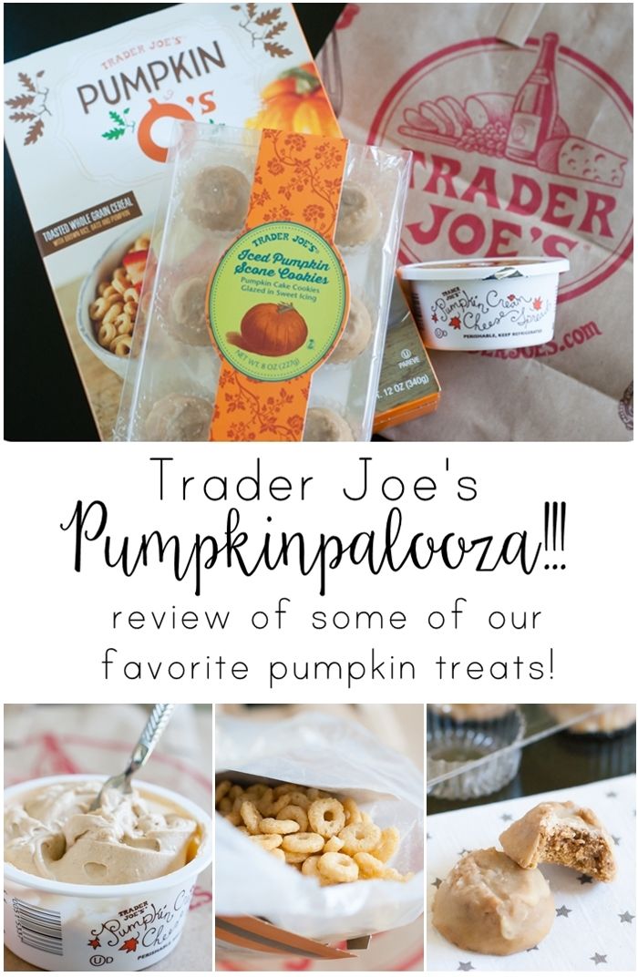 trader joe's pumpkin treats review: part of a weekly review series of tj's desserts and treats