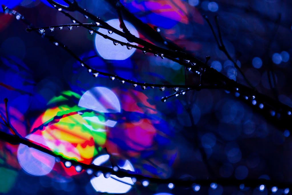 IMAGE: http://i638.photobucket.com/albums/uu102/CMckahin/IMG_2772-1.jpg