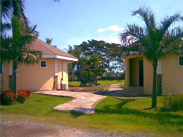  photo Image009.jpg