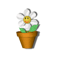 flowerpot Pictures, Images and Photos