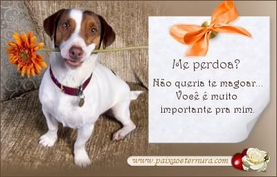 Não queria te magoar