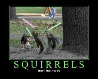 squrriels.jpg