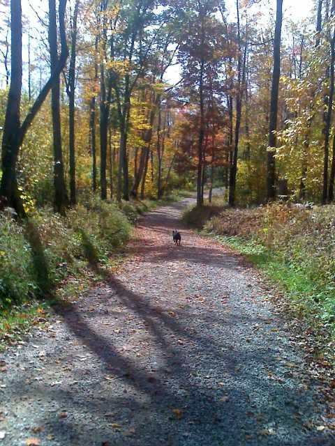 10-10-11_1334.jpg