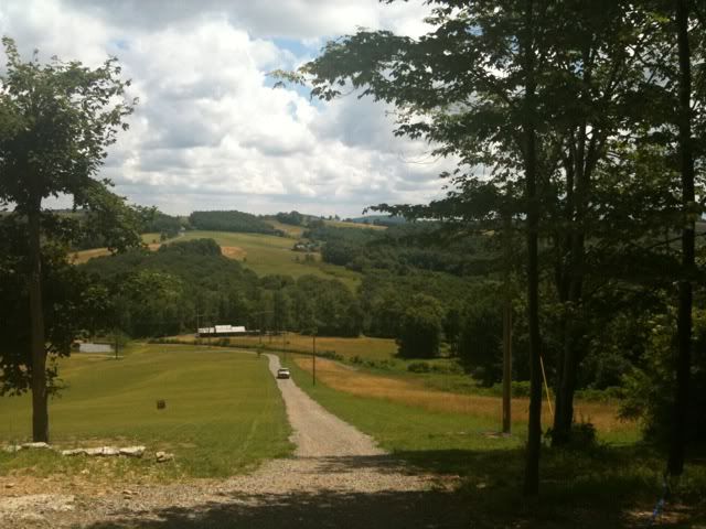 frontyard.jpg