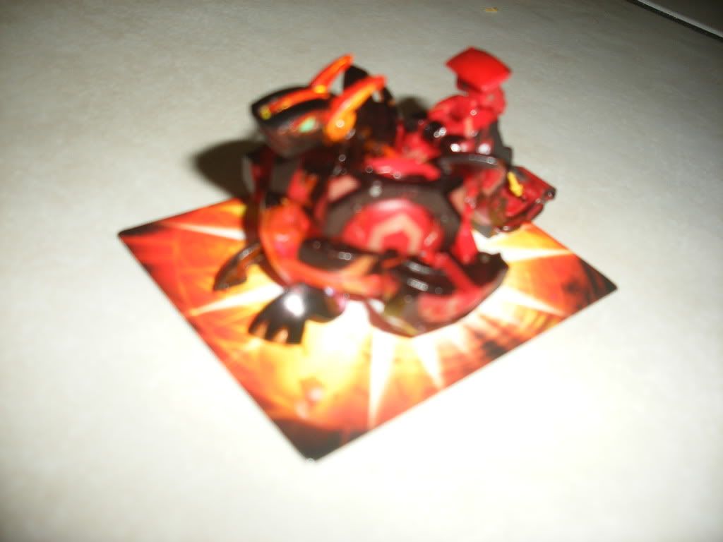ScanPicture009.jpg