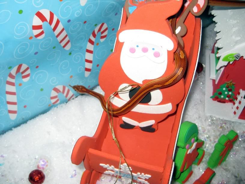 withsanta816x612.jpg