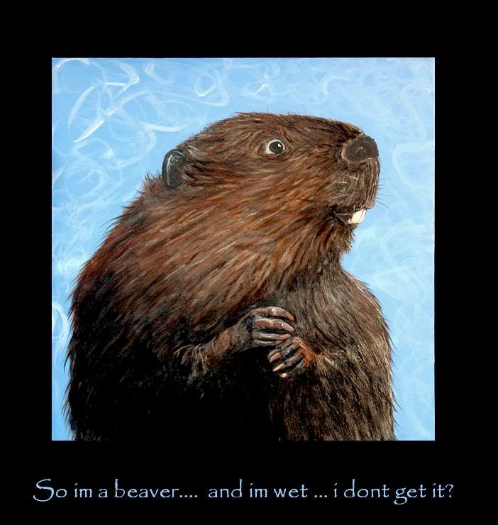 wet beaver 