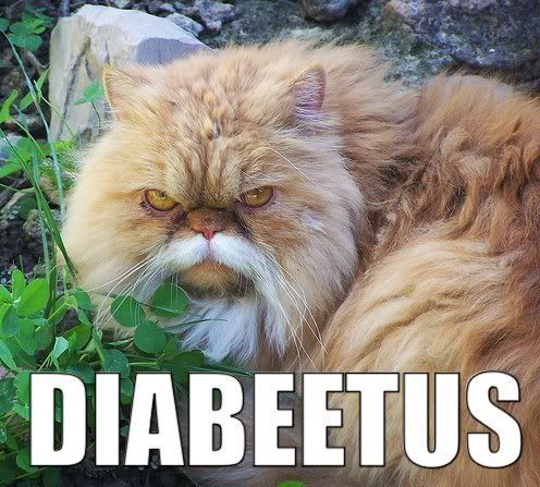 Diabeetus Cat!
