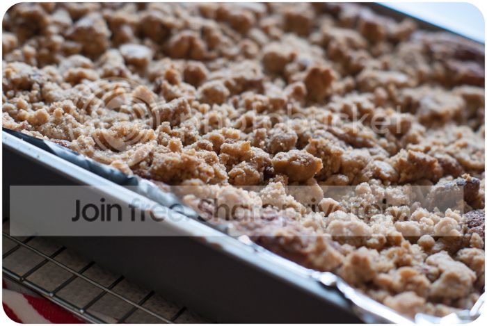 biscoff coffee cake with biscoff crumb topping 