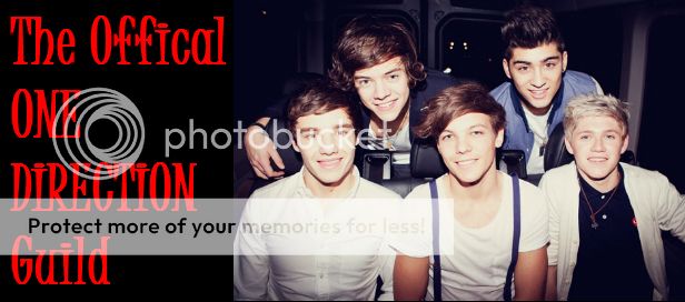 The Official One Direction Guild banner
