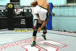 bj_penn_takedown_defense.gif
