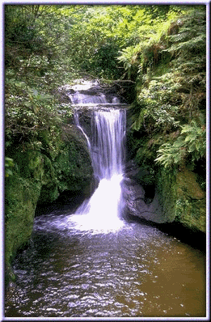 Waterfall Pictures, Images and Photos