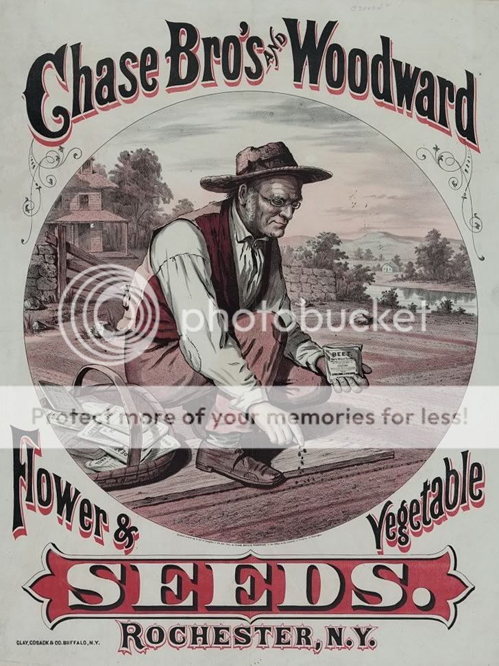  REPRODUCTION PRINT OF CHASE BROTHERS AND WOODWARD SEED COMPANY 