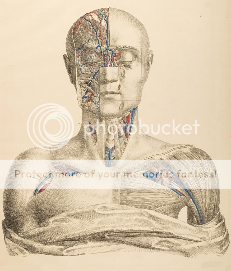 HERE IS A BEAUTIFUL REPRODUCTION PRINT OF VINTAGE ANATOMICAL SURGICAL